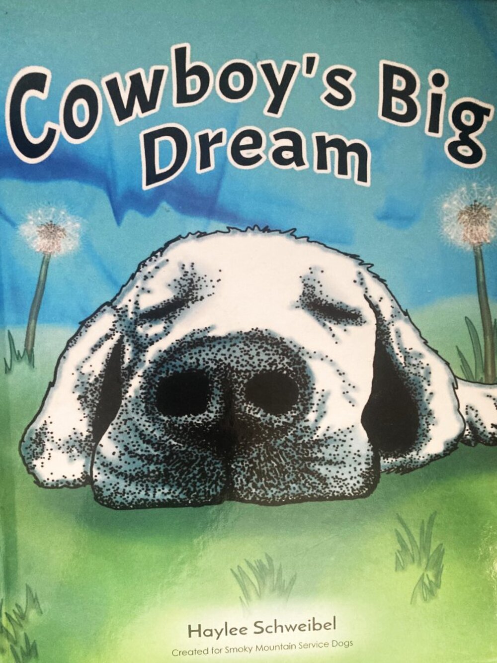 Big Hardback Children's book, by Haylee Schweibel, "Cowboy's Big Dream"